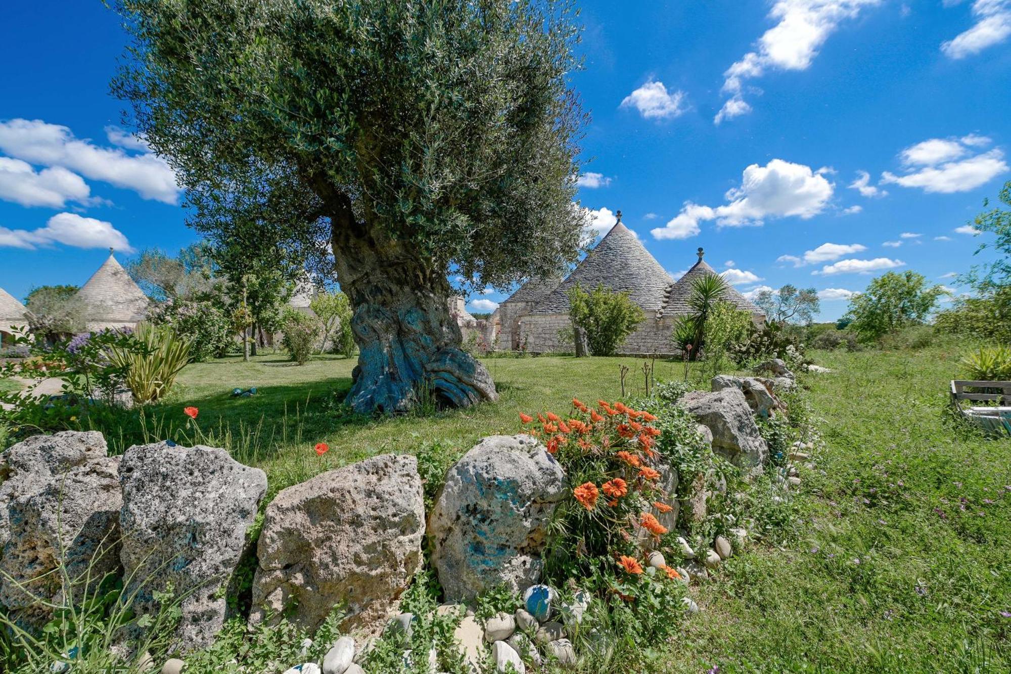 Bed & Breakfast Masseria Cecato *